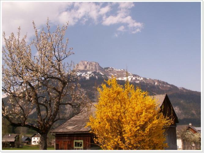 Ferienwohnung Haus Einhirn Altaussee Exterior foto