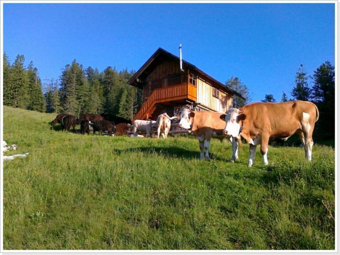 Ferienwohnung Haus Einhirn Altaussee Exterior foto